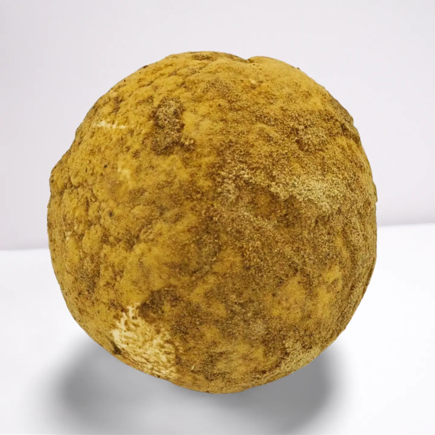 Caprino speziato al cappero – formaggio biologico capra Girgentana